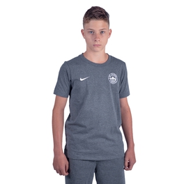 T-shirt NIKE gray children's